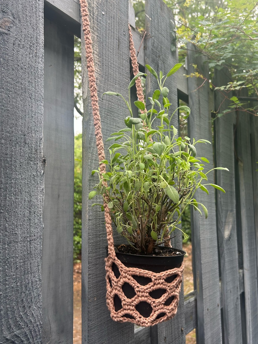 Crochet Plant Hanger